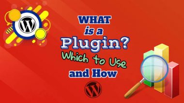 Featured Image introduces the article about "What is a Plugin".